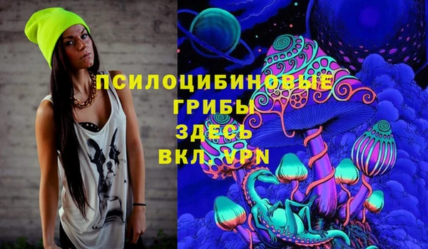 хмурый Гусиноозёрск