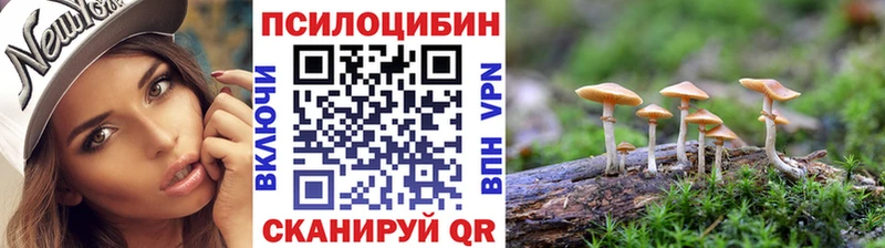 что такое   Дятьково  Галлюциногенные грибы ЛСД 